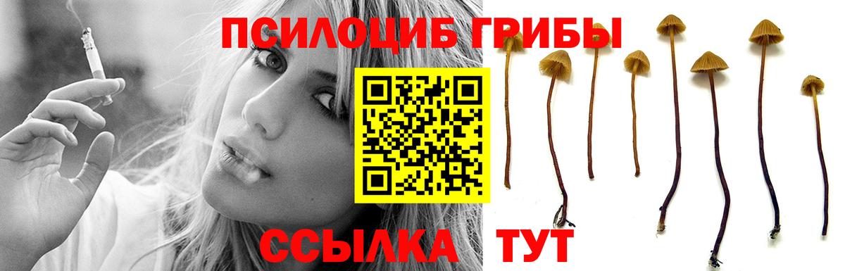 Псилоцибиновые грибы мицелий  Вход с VPN  Тольятти 